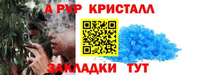 СК Будённовск